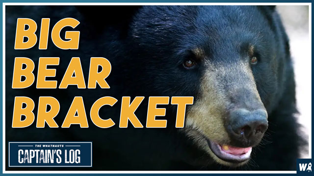 Big Bear Bracket - The Captains Log 180