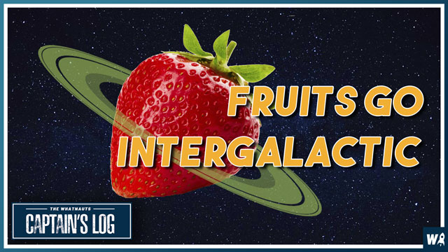 Fruits Go Intergalactic - The Captains Log 185