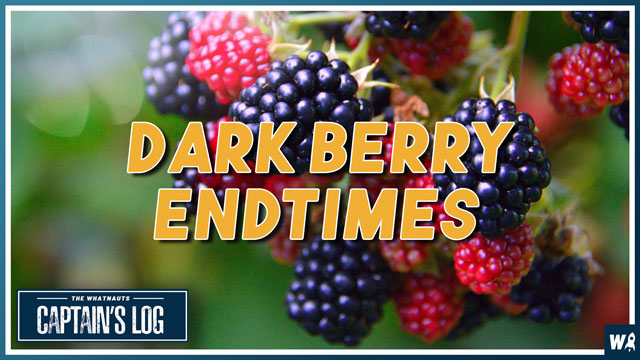 Dark Berry Endtimes - The Captain's Log 196