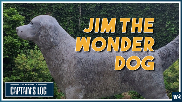 Jim the Wonder Dog - The Captain's Log 214