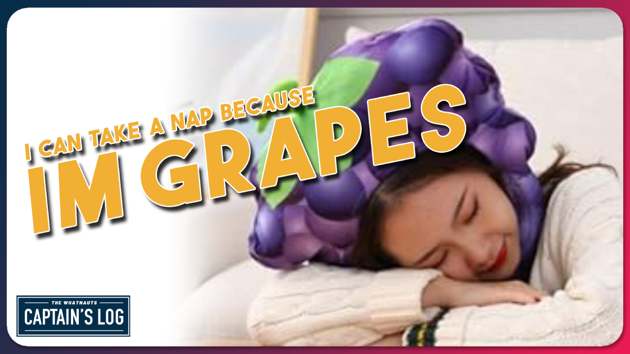 I can take a nap because I'm grapes - The Captain's Log 254