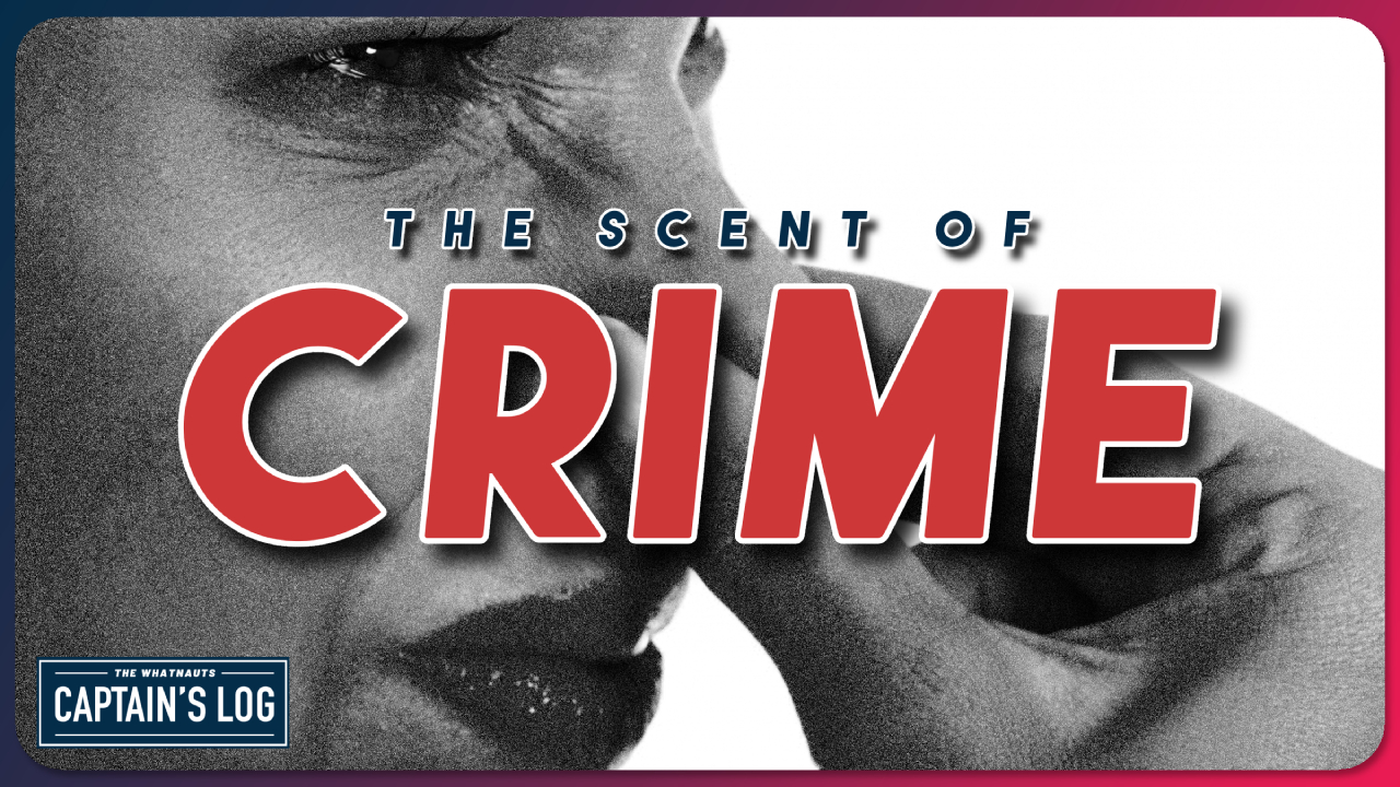 The Scent of Crime - The Captain's Log 264