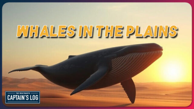 Whales on the Plains - The Captain's Log 302